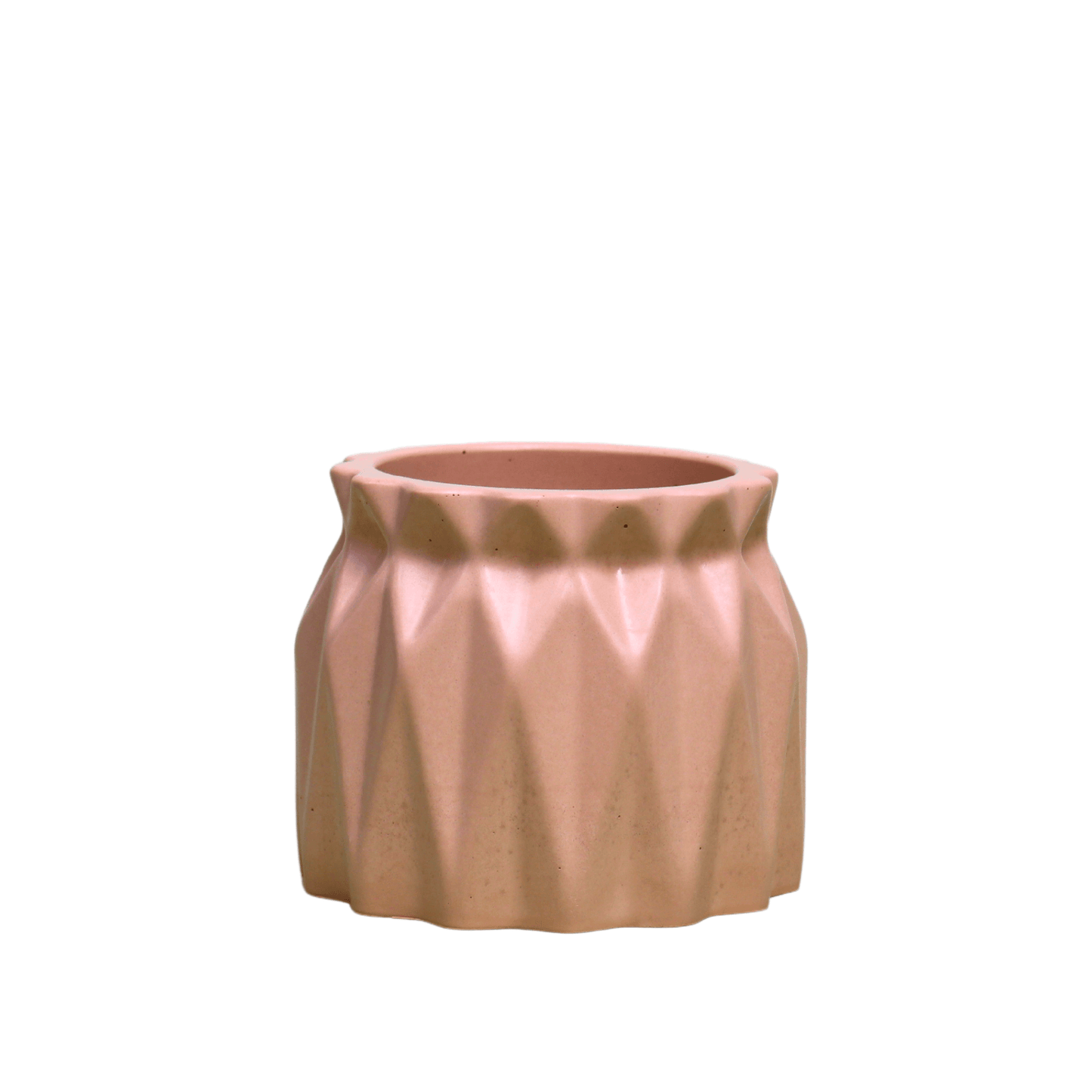 Geometric Cacti Pot