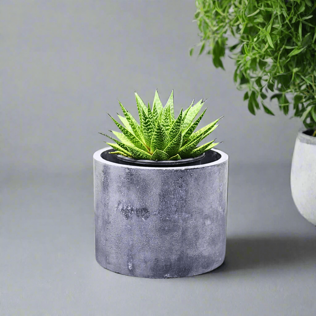 Handmade concrete planters & Pots