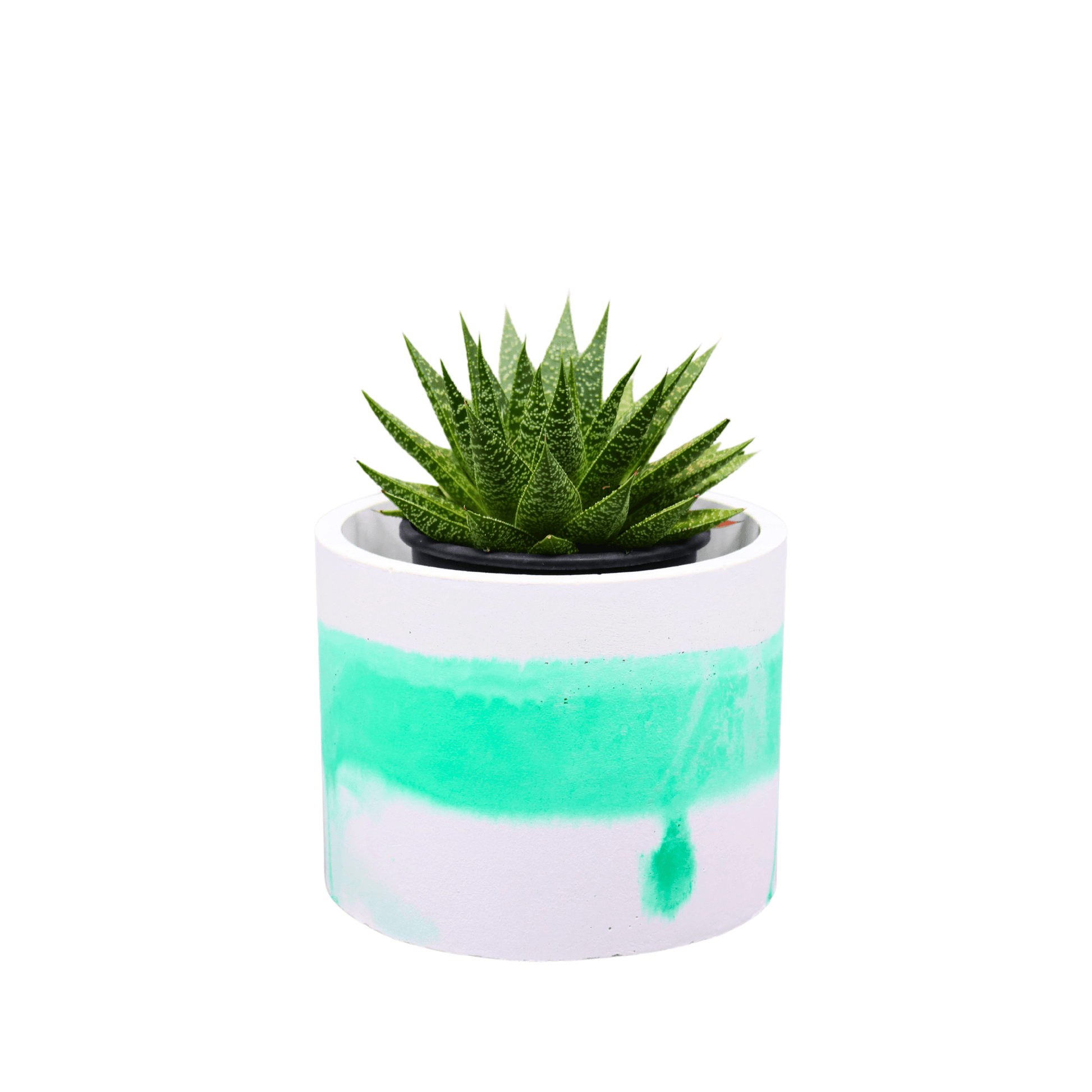 small green marble planter