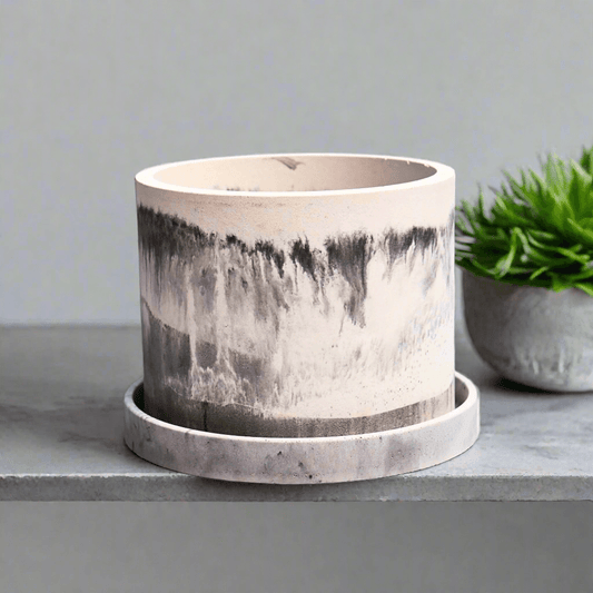 Best Plants for Concrete Planters