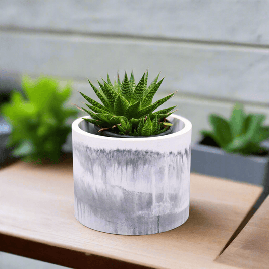 Buy Handmade Concrete Planters Online