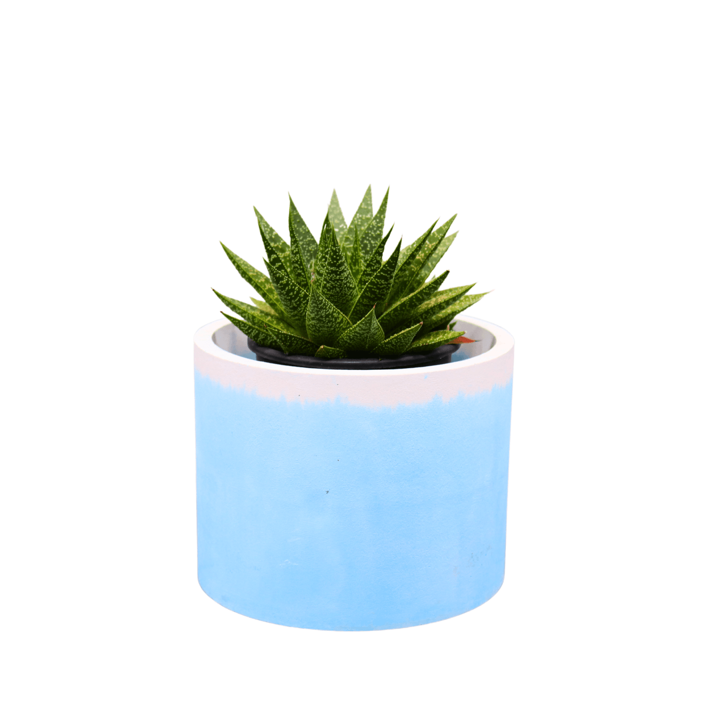 Small light blue marble planter