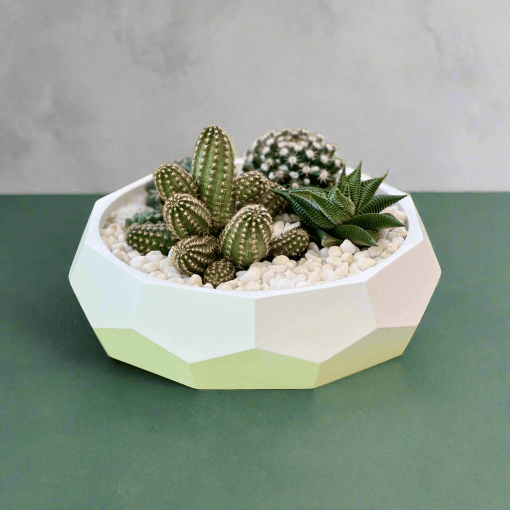 Benefits of Using Concrete Planters for Plants
