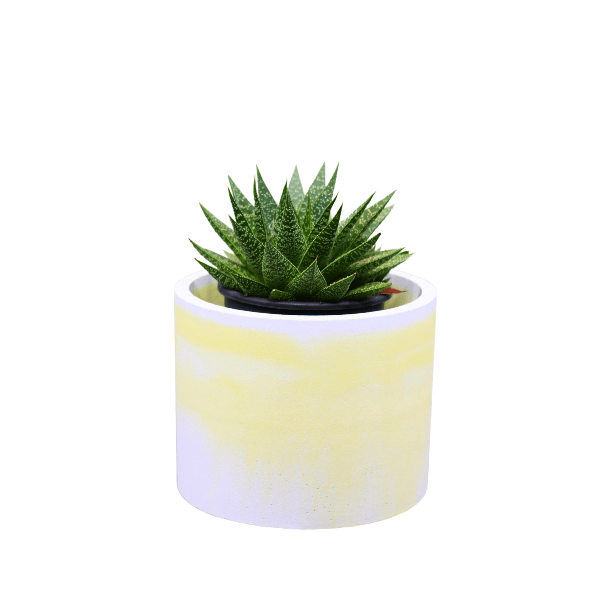 Small yellow marble planter